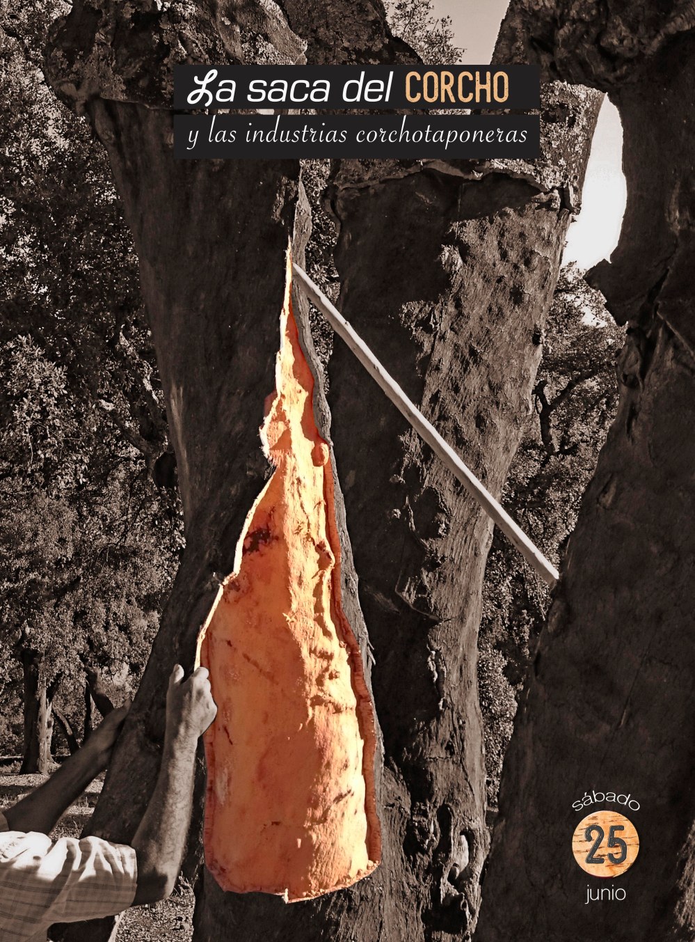 Cartel saca del corcho fb BR