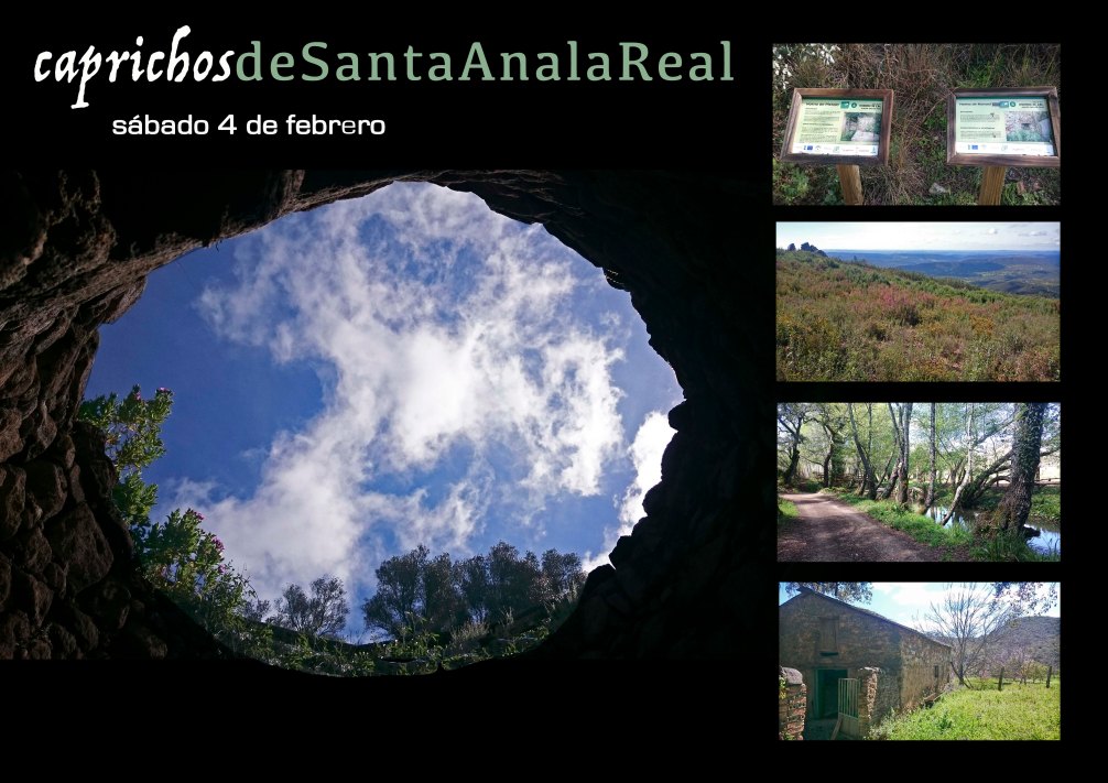 caprichos-de-santa-ana-4-febrero-2017-br
