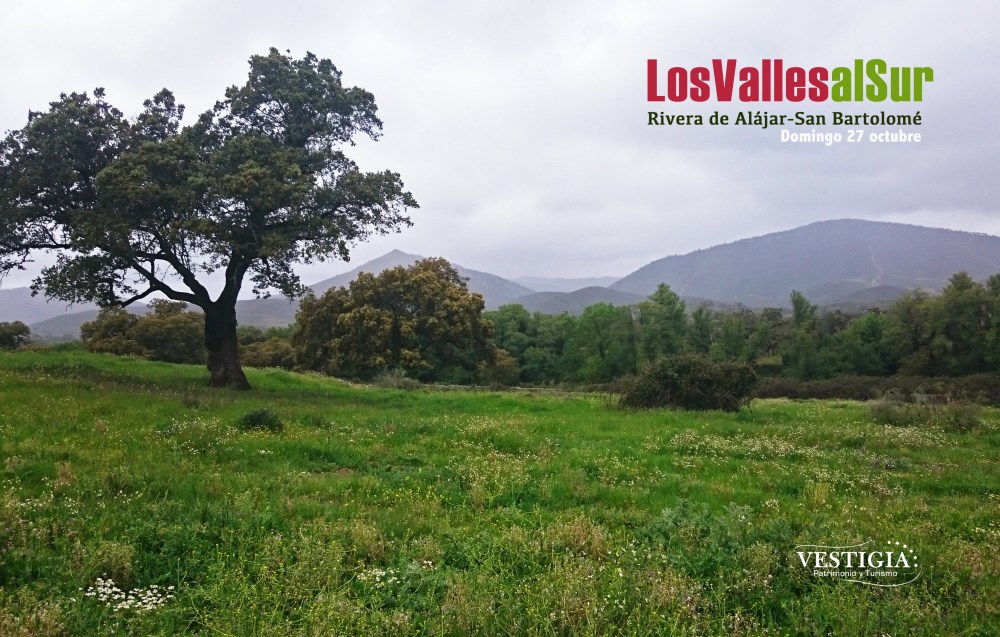 Cartel los valles al sur