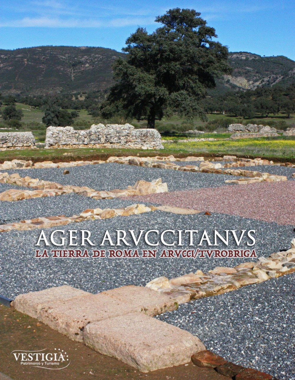 CARTEL AGER ARUCCITANUS