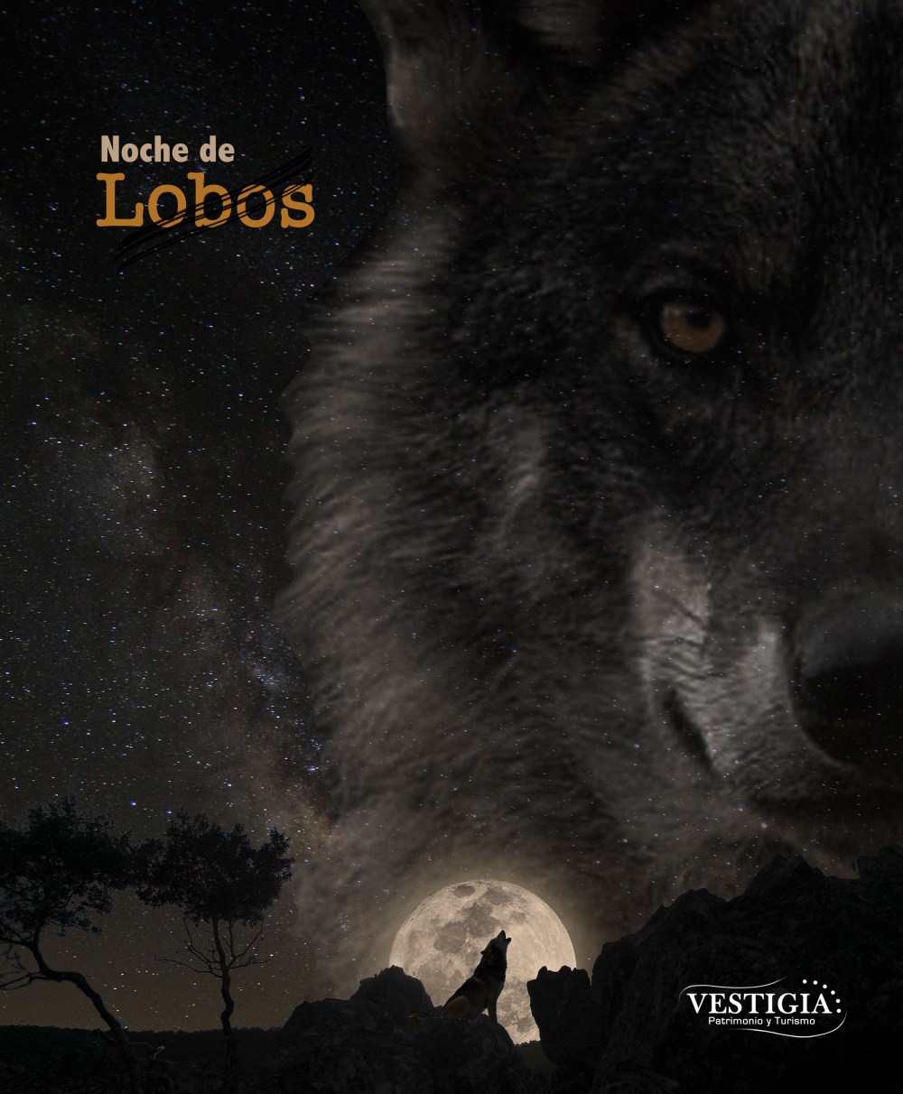 cartel noche de lobos